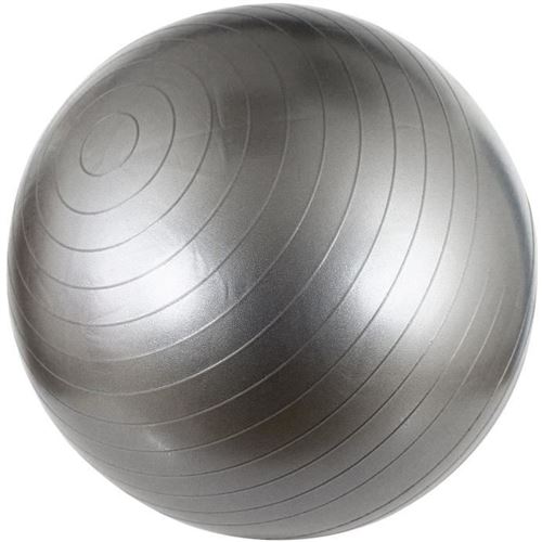 Avento Ballon de fitness/d'exercice Diamètre 75 cm Argenté