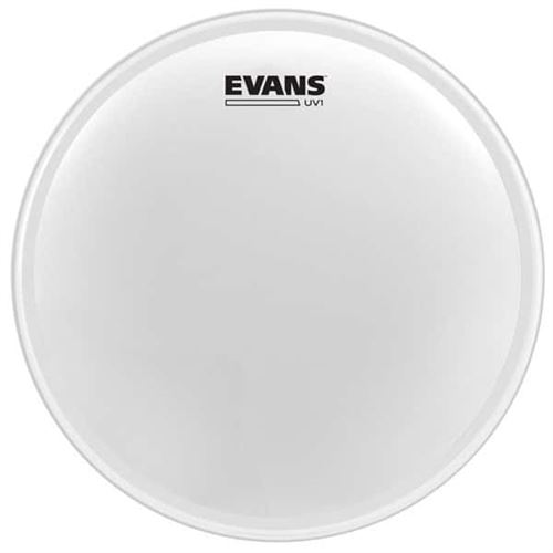 Evans B16UV1 - Peau UV1 sablée, 16 pouces