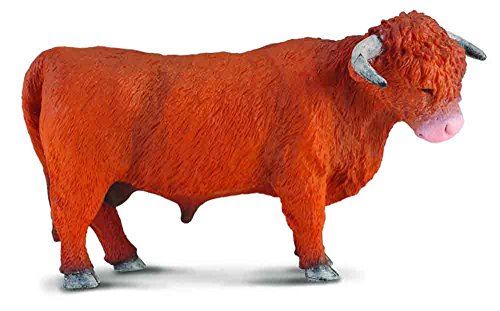 Collecte de taureaux