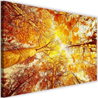 Image Imprimee Tableau Toile Cadre Canevas Arbres Feuilles D Automne 120x80 Achat Prix Fnac