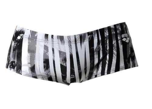 Maillot de bain homme : slip de bain ARENA 85 (M)