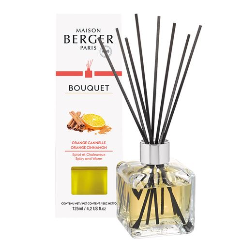 MAISON BERGER - Bouquet parfumé Orange de Cannelle
