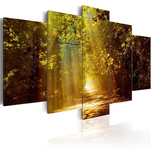 Artgeist - Tableau - Forêt ensoleillée 100x50