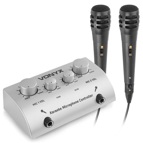 Vonyx AV430 -Table de mixage écho karaoké 2 canaux avec 2 microphones, mixeur sonorisation, micros filaires