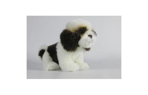 NICOTOY Peluche Shihtzu Floppy avec billes - 26 cm
