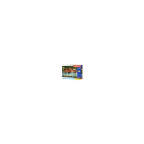 Cascade Run, Puzzle 300 Teile - Castorland