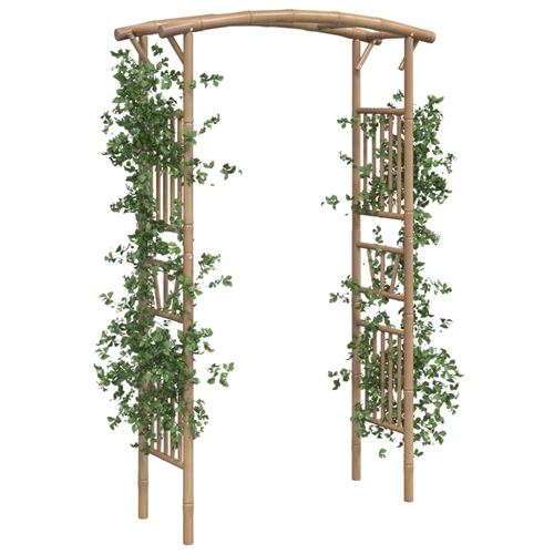VidaXL Arche pour rosiers Bambou 118x40x187 cm