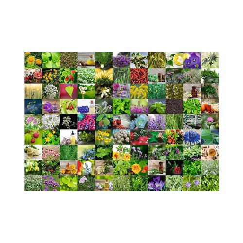 Puzzle Ravensburger - 99 herbes et épices, 1000 pièces