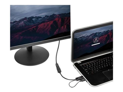 Startech.com Adaptateur Hdmi Vers Displayport 4K Alimenté Par Usb - Image 3