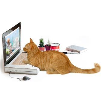 Grattoir Pour Chat Ordinateur Et Sa Souris Autre Gadget Achat Prix Fnac