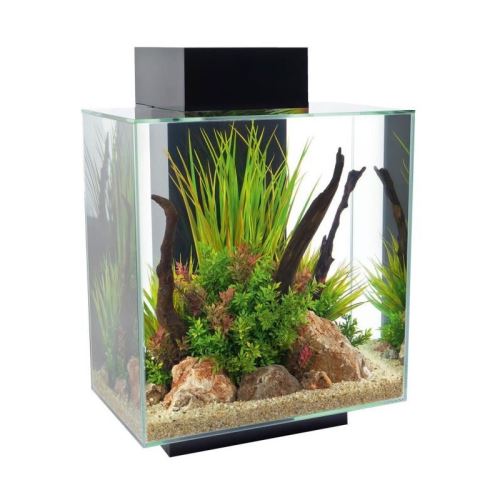 fluval aquarium équipé edge - 46 l - noir