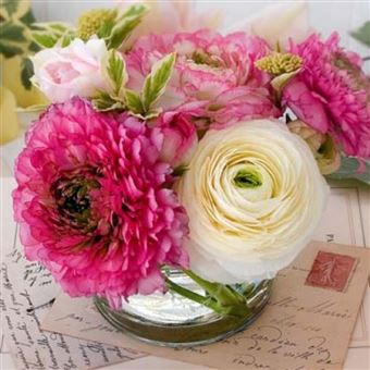 Fleurs Poster Reproduction Bouquet Et Cartes Postales Beyler 30x30 Cm Poster Affiche Enroule Top Prix Fnac Fleurs Poster Reproduction Bouquet Et Cartes Postales Beyler 30x30 Cm Poster Affiche Enroule Top Prix Fnac
