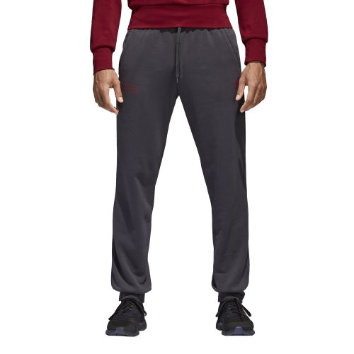 Pantalon de survêtement FC Bayern Munich Street Graphic 2017/2018 S Gris