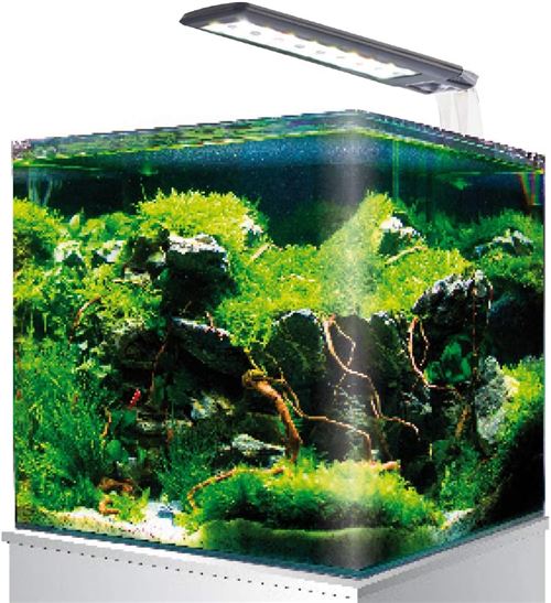 Meilleurs prix pour AMTRA NANOTANK, Aquarium en Verre Equipé LED et Pompe, 18L, Dimensions 25x25x30cm