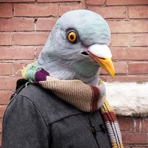 Masque Pigeon Latex Plein Tête - Déguisement Animal Réaliste Pour Fête Et Halloween