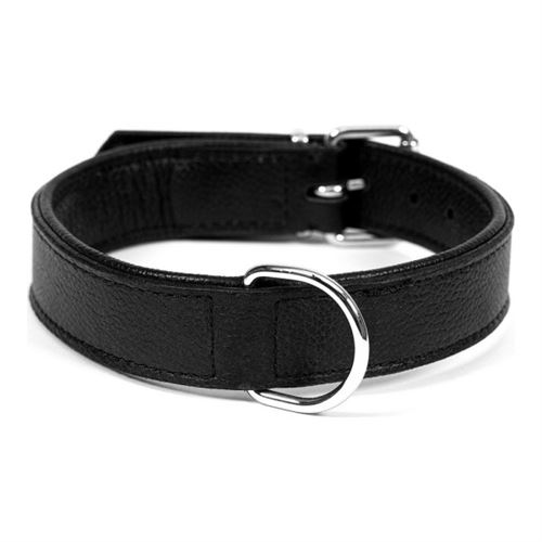 Collier pour Chien Gloria Drymilled 40 2 cm Noir