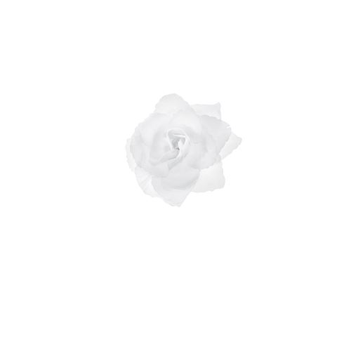 24 roses autocollant blanc 9cm