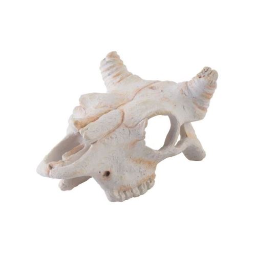 Meilleurs prix pour exo terra décoration crâne de buffle - pour terrarium
