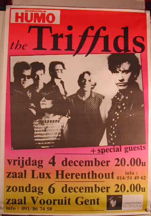 Triffids - 61x86 cm - AFFICHE / POSTER