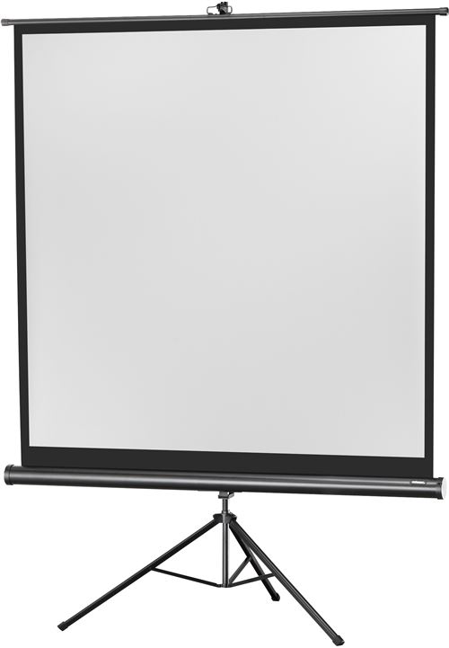 Celexon Economy tripod screen - Projectiescherm met statief - 1:1