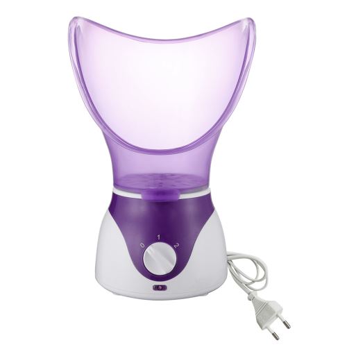 Ion Humidifier Vaporiser Instrument de beauté Nano Steaming Hot Humidificateur machine