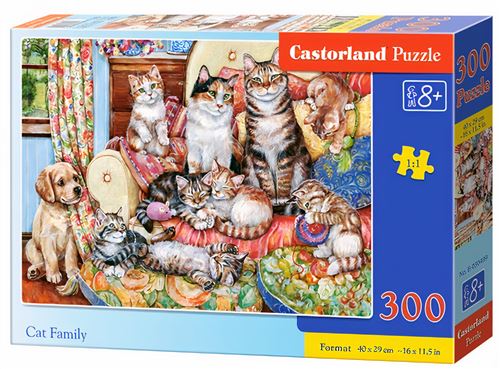 Castorland puzzle Famille de chats junior 40 x 29 cm 300 pièces