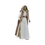 Star Wars : The Acolyte Black Series - Figurine Jedi Master Vernestra Rwoh 15 cm