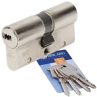 COGEX Cadenas en acier 50mm + 2 clés - Accessoires pour portes et loquets -  Achat & prix