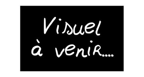Accessoire cuisson PROLINE PLAQUE GAUFRES