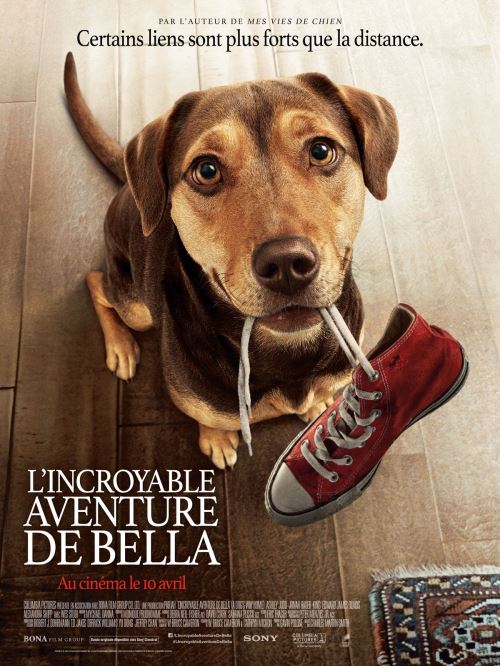 L'Incroyable aventure de Bella (A Dog's Way Home) - AFFICHE CINEMA ORIGINALE