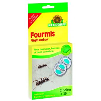 piege a fourmis : A consulter avant votre achat