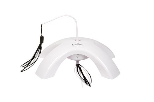Jouet pour chat - EYENIMAL Crazy Ribbons -