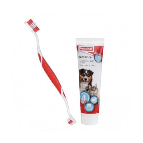Comparer les prix de Kit d'hygiène dentaire