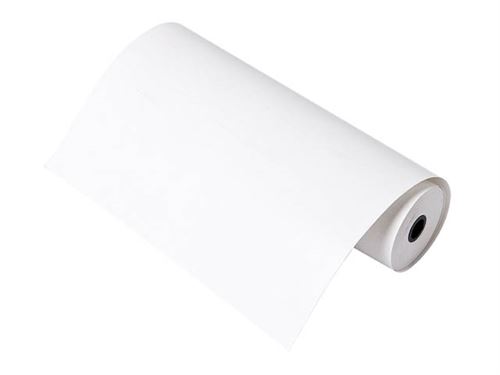 Rouleaux de papier thermique pour imprimante TANITA (x20)