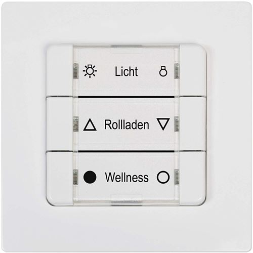 WR RADEMACHER DuoFern Mehrfachwandtaster 230V 9494-2