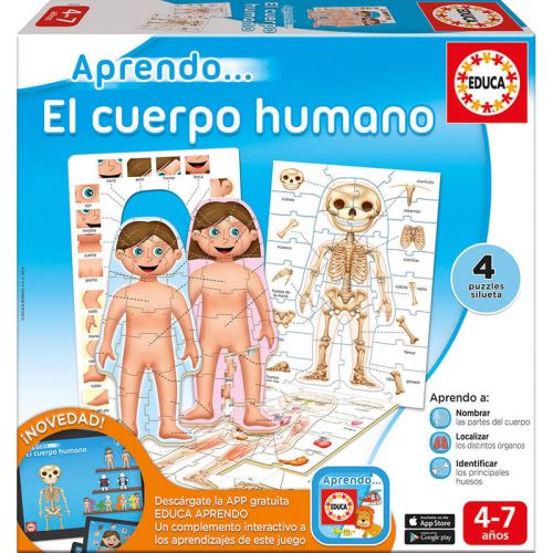 EDUCA BORRAS - apprendre EL CUERPO HUMANO.(4 PUZZLES SILUETA) APPRENDRE LE CORP HUMAIN EN ESPAGNOL