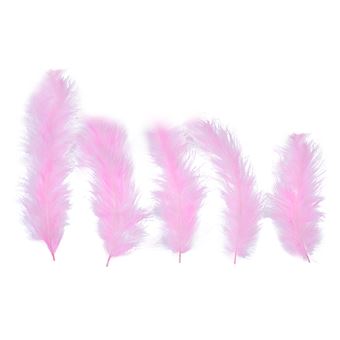 Guirlande plume pink