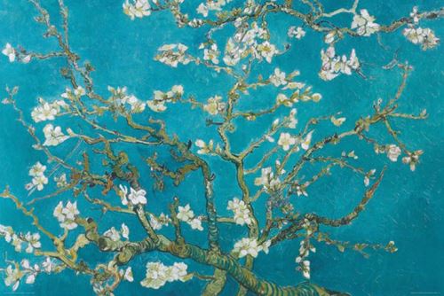 Affiche Maxi Van Goh Almond Blossom