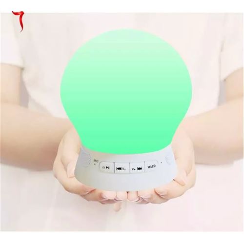 Mini Haut-Parleur Bluetooth et Lampe LED