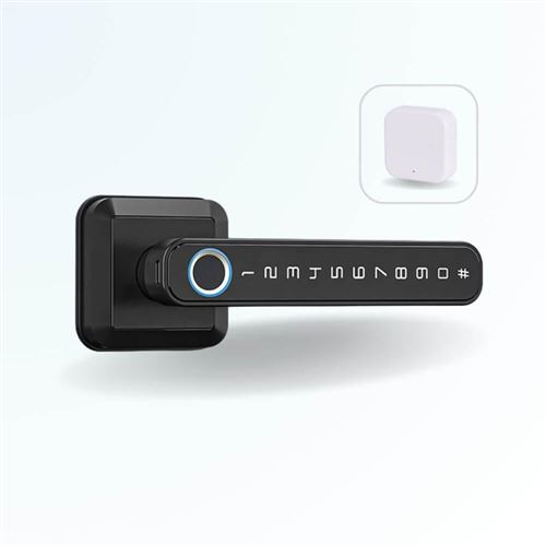 LOCKY Pack poignée biométrique connectée locky-5 à empreinte digitale, code et bluetooth + passerelle wifi