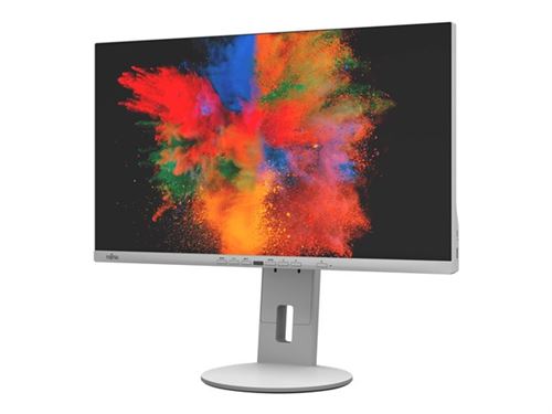 Fujitsu P2410 TE - Écran LED - 23.8 - 1920 x 1080 Full HD (1080p) - IPS - 250 cd/m² - 1000:1 - 5 ms - HDMI, 2xDisplayPort, USB-C - haut-parleurs - Gris marbré