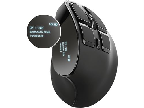 Trust Voxx - Verticale muis - ergonomisch - rechtshandig - optisch - 9 knoppen - draadloos - Bluetooth, 2.4 GHz - USB draadloze ontvanger