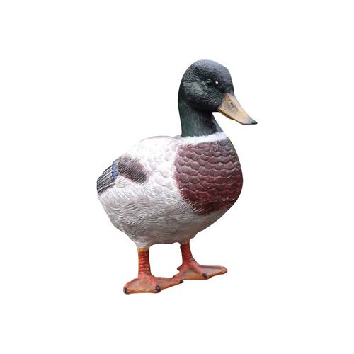 Texartes - Canard colvert en résine géant