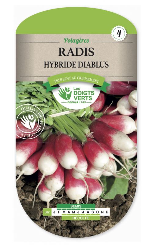 Semence Radis Hybride Diablus