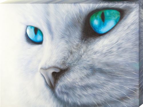 Chats Peinture A L Huile White Cat With Shiny Eyes 60x80 Cm Autre Poster Top Prix Fnac Chats Peinture A L Huile White Cat With Shiny Eyes 60x80 Cm Autre Poster Top Prix Fnac