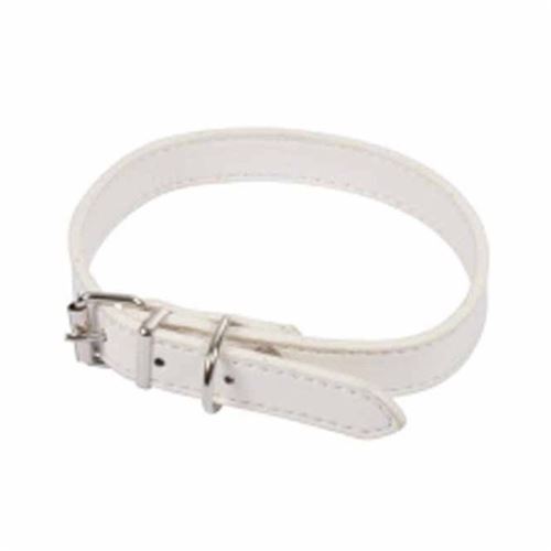 Collier pour Chien Design Uni 40cm Blanc