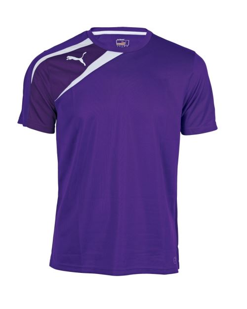 Puma Sport Shirt Spirit hommes de formation violet / blanc