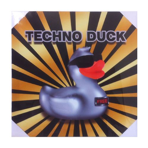 Cadre en toile Canard Techno