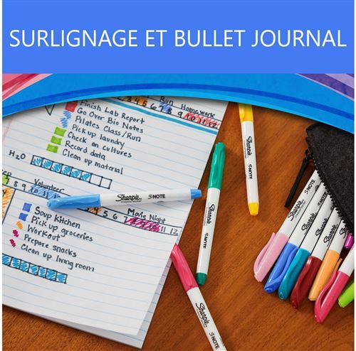 S&S Worldwide Spectrum Lot De 12 Marqueurs à Pois 12,7 Cm