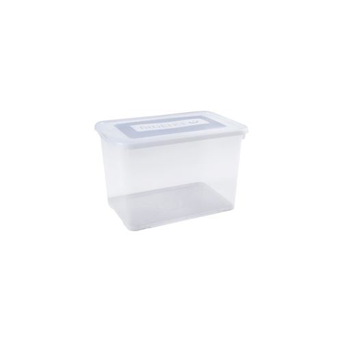 Boîte de rangement 65 L - 225556